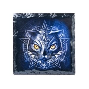 Sacred Cat: Slate