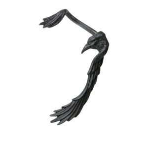 Raven Ear-wing