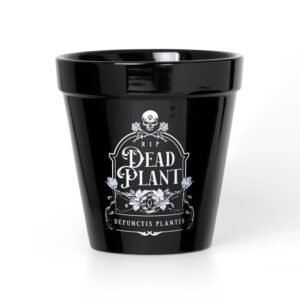 Dead Plant Plant Pot