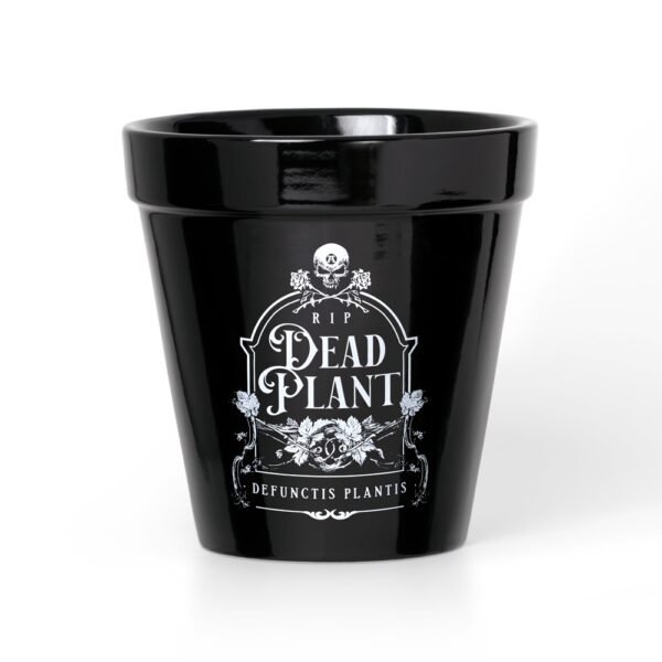 Dead Plant Plant Pot