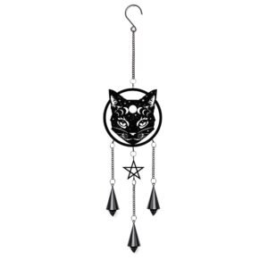 Celestial Cat
