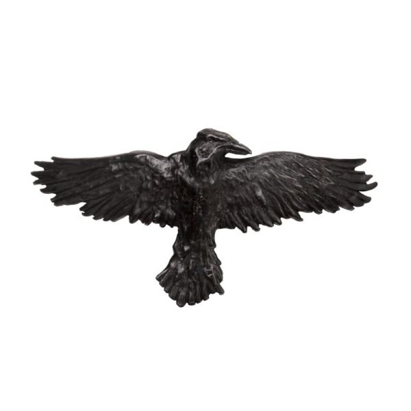 HH10 Black Raven Hair Slide