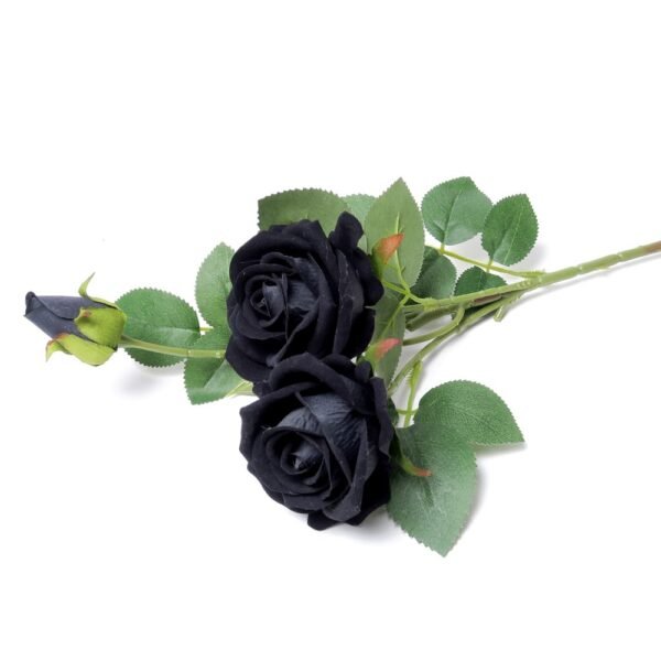 Black Rose Spray