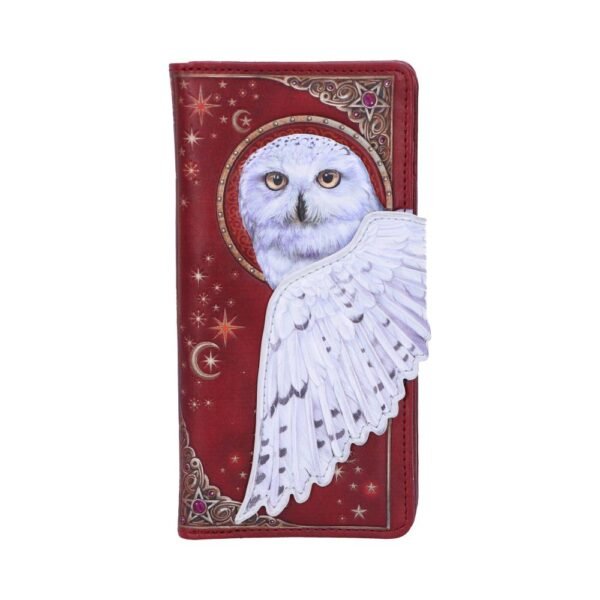 b5796u1.jpg Magical Flight Embossed Purse 18.5cm