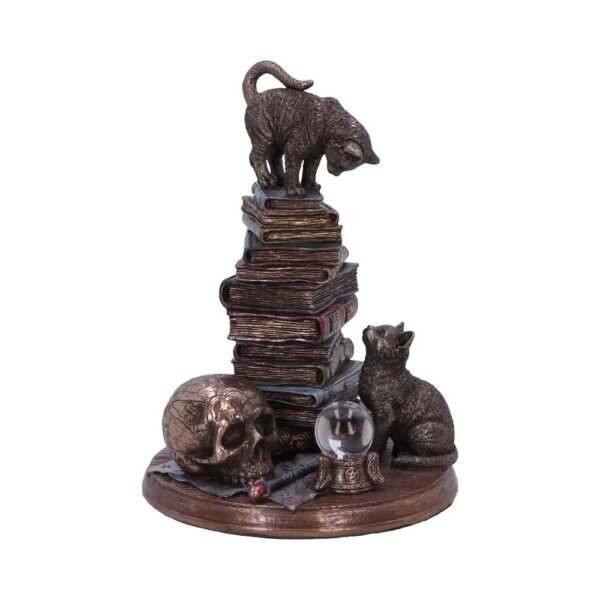 d6890c24.jpg Feline Scholars 18cm
