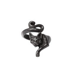 Le Chat Noir