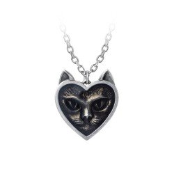 Love Cat