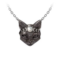 Mystic Moon Cat