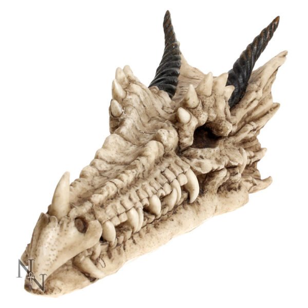 nem3993.jpg Draco Skull Incense Holder 24cm