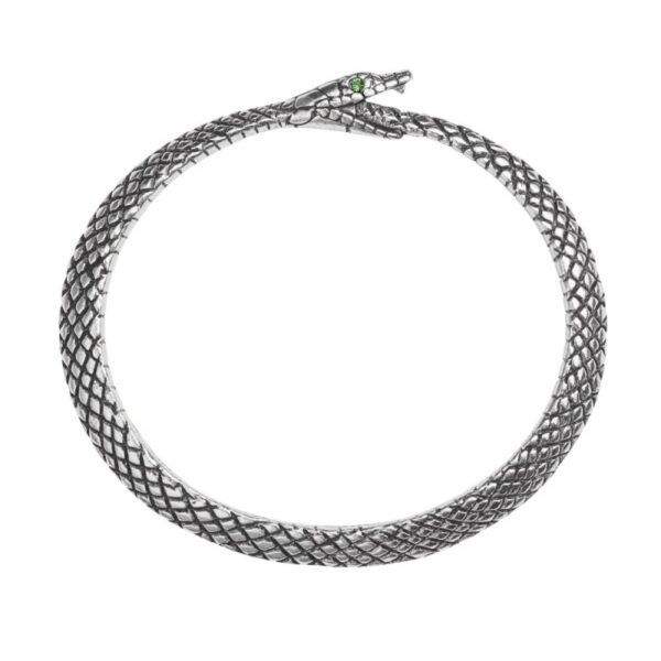 The Sophia Serpent