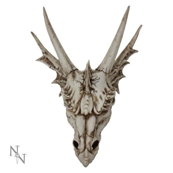 u2473g6.jpg The Last Dragon Skull 32cm