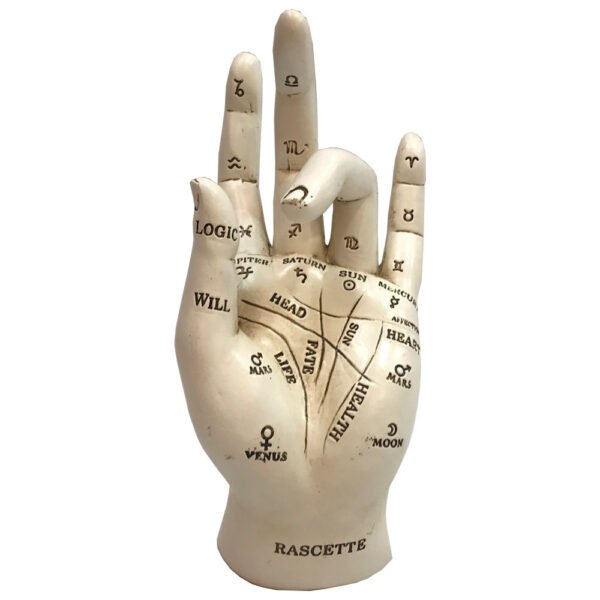 u4943r0.jpg Palmistry 17.7cm