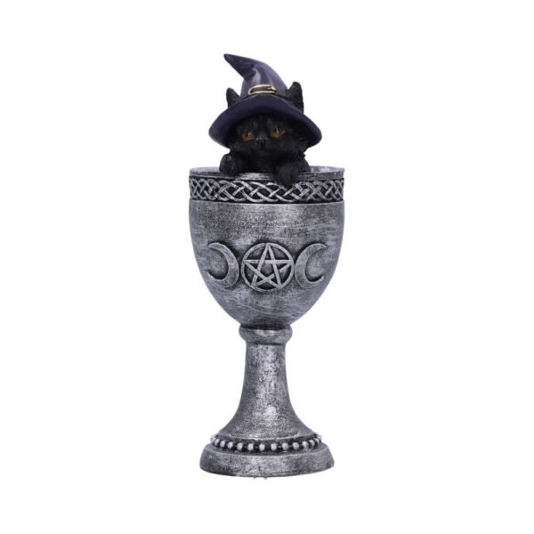 u6320x3.jpg Coven Cup 15.7cm