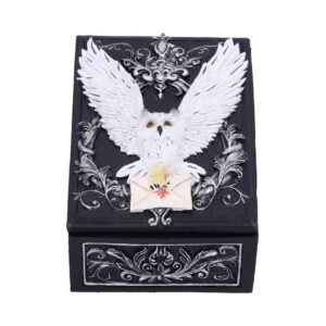Owl Messenger Box 14cm