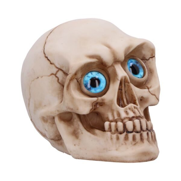 u7077b25.jpg Eyes Wide Open (Blue) 12cm