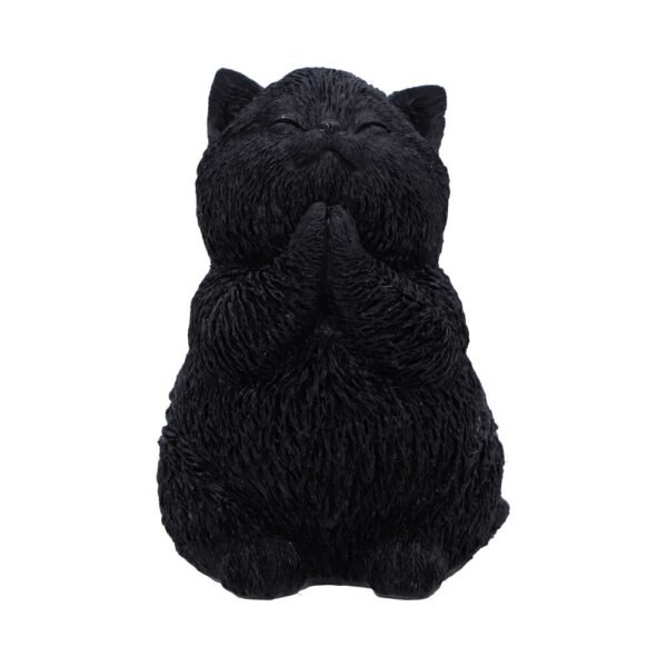 Whisker Wish