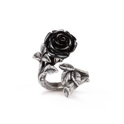 Wild Black Rose