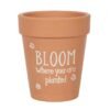 Bloom Where You Are Planted Terracotta Plant Pot