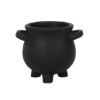 Small Herbs For Spells Cauldron Plant Pot