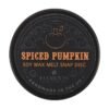 Spiced Pumpkin Soy Wax Snap Disc