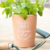 Dad's Garden Terracotta Plant Pot