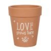 Love Grows Here Terracotta Plant Pot