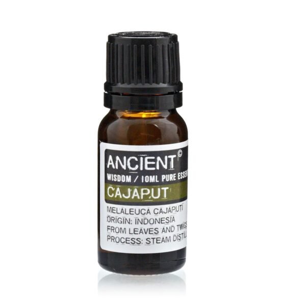 bG9jYWw6Ly9tZWRpYS85UC8yRC82MFIzMEMxRzY0VksyRDlQL2IwMzE1ZDkyLmpwZWc.jpg 10 ml Cajaput Essential Oil