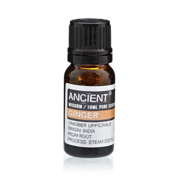 bG9jYWw6Ly9tZWRpYS9IUy8yQy82MFIzMEMxRzY0VksyQ0hTLzkwNzJiZGFlLmpwZWc.jpg 10 ml Ginger Essential Oil