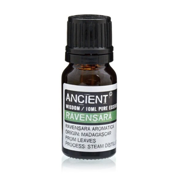 bG9jYWw6Ly9tZWRpYS9TSi8yRC82MFIzMEMxRzY0VksyRFNKL2I4OTgxM2U1LmpwZWc.jpg 10 ml Ravensara Essential Oil